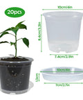 Clear 4 Inch Nursery Pots With Drainage And Saucers, 20 Pack Transparent Plant Pots With Seedling in Soil