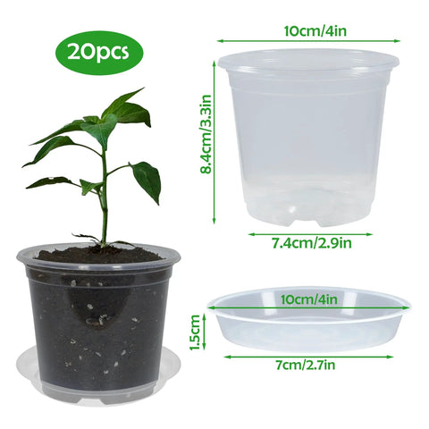 Clear 4 Inch Nursery Pots With Drainage And Saucers, 20 Pack Transparent Plant Pots With Seedling in Soil