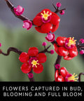 Botanicals Plum Blossom Building Set For Adults Diy Flower Craft Kit For Dining Table Centerpiece And Living Room Decor Grown Folks Friendly 18 Plus Relaxing Creative Experience Gift For Birthdays 10369, close-up red buds and blossoms