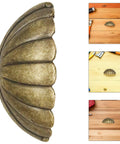 Vintage Shell Cabinet Pulls 4 Pack Antique Bronze Finish Straight Up Heavy Duty Cup Handles on wooden drawer