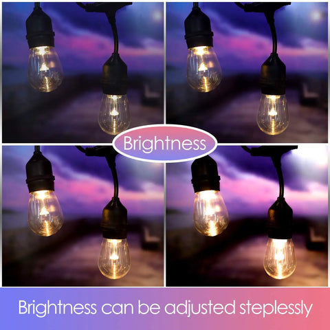 Adjustable brightness of Outdoor String Lights For Patio And Backyard 48 Feet RGBW LED Bulb Set With 12 Volt Low Voltage Safety