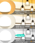 Comparison of 2700K warm white, 4000K natural daylight, and 5000K daylight lighting with G25 Globe LED Vanity Bulbs 8 Pack