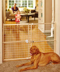 Extra Wide Wooden Baby Gate With Wire Mesh For Doorways Pressure Mounted Adjustable From About 29 To 50 Inches Wide And 31 Inches Tall Kid Safe Play Space blocking doorway; child and dog visible