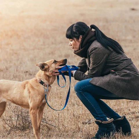 Person crouching in field with a dog on a leash, interacting closely, both wearing coats.