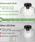 Comparison of Edison-style and other LED bulbs for Industrial Semi Flush Mount Ceiling Light with Seeded Glass Shade