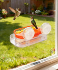 Window Hummingbird Feeder With Dual Suction Cups 4 Feeding Ports Easy To Clean And Refill Clear Plastic Hummingbird Feeder For Garden Ideal Gift 10Oz attached to a window, with hummingbirds feeding, garden view.
