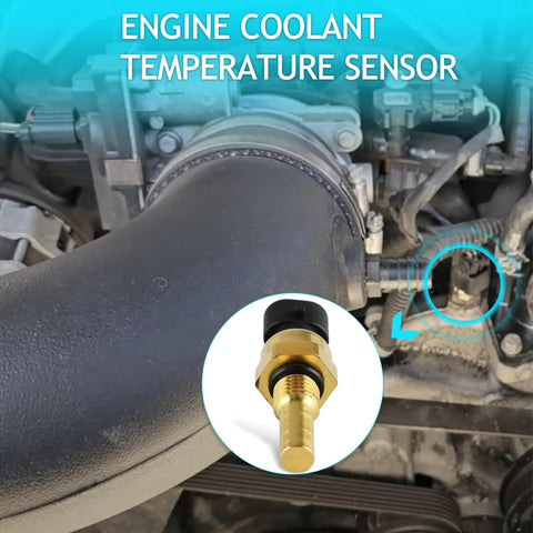 Engine coolant temperature sensor, brass threaded body with black plastic cap, installed in engine bay.
