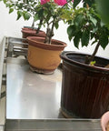Heavy Duty Stainless Steel Condensate Drain Pan The Ultimate Leak Proof Water Drip Catcher Tray For Outdoor Ac Units Washing Machines Water Heaters Easy Clean Indestructible Design That Holds The Line Against Moisture with potted plants.