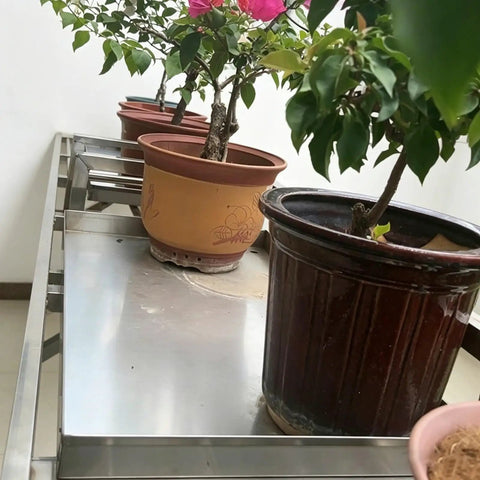 Heavy Duty Stainless Steel Condensate Drain Pan The Ultimate Leak Proof Water Drip Catcher Tray For Outdoor Ac Units Washing Machines Water Heaters Easy Clean Indestructible Design That Holds The Line Against Moisture with potted plants.