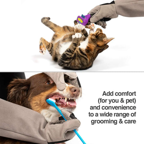 Multipurpose Pet Grooming Glove For Dogs And Cats Water Resistant And Puncture Scratch Resistant Easy Grooming On The Go Vet Visits And Handling Durable Gray With 12 Month Warranty in use with cat and dog