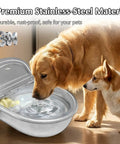 Heavy Duty Stainless Steel Water Dispenser For Dogs Cats And Poultry With Smart Float Valve Auto Refill, 304 material, 3-liter tank.