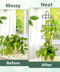 Two Pack 24 Inch Indoor Plant Trellis Set For Climbing Vines And Potted Plants Sturdy Metal Plant Support Stakes Before and After
