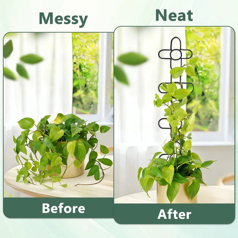 Two Pack 24 Inch Indoor Plant Trellis Set For Climbing Vines And Potted Plants Sturdy Metal Plant Support Stakes Before and After