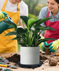 Self Watering Tray Planter System For Indoors And Outdoors Auto Irrigation Plant Saucer with potted plant and gardeners