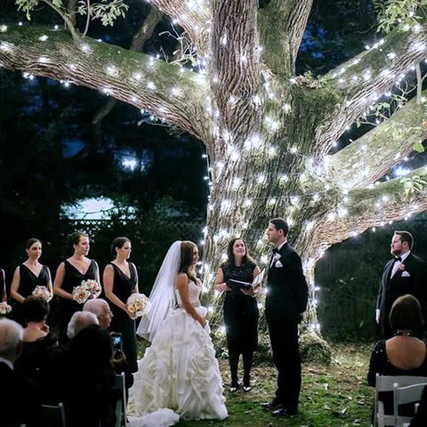 Outdoor wedding ceremony with tree wrapped in fairy lights, providing a romantic atmosphere for the couple and bridal party.