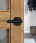 Interior Passage Door Lever For Closet And Hallway Doors No Lock Reversible Handle Matte Black Finish Easy Install Durable Dual Spring Design