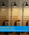Three Way LED A19 Light Bulbs With 40 60 100W Equivalents, E26 Base, 2700K Warm White, lighting effect comparison in room