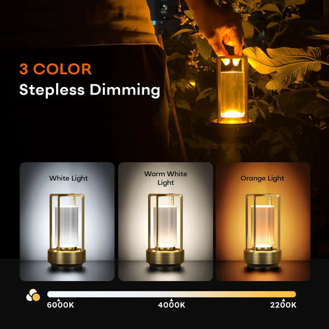 Portable Metal Table Lamp Cordless Rechargeable LED Light With 3 Color Infinitely Dimming Battery Powered Small Desk Lamp