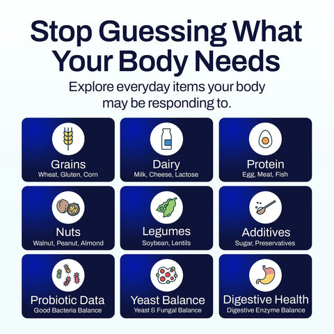 At Home Food Sensitivity Test Kit With 1000 Plus Foods Drinks Vitamins And Gut Health Insights For Adults And Kids Non Invasive Wellness Indicator That Is Easy To Use And Totally Worth It. infographic on grains, dairy, protein, nuts, legumes, additives, probiotic, yeast, and digestive health