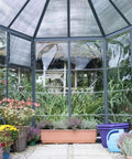 Interior view of Hexagon Walk In Greenhouse Kit With Aluminum Frame And Heavy Duty Polycarbonate Panels, featuring plants inside.