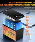 Cutaway view of 12V 100Ah LiFePO4 Battery With Smart 100A BMS 15000 Plus Deep Cycles 10 Year Lifespan Low Temp Protection