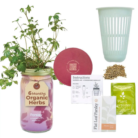 Complete Dope Mason Garden Jar Self Watering Hydroponics Kit With Organic Herb Seeds For Indoor Parsley Garden Jar Planter and accessories