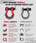 Comparison chart showing Heavy Duty Three Quarters Inch D Ring Shackle 70,000 Lb Break Strength with standard shackle.