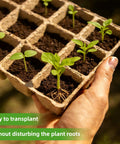 Hand holding 300 Cell Seed Starter Tray Kit With Biodegradable Peat Pots For Seedlings No Mess 25 Trays in khaki