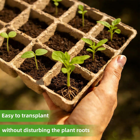 Hand holding 300 Cell Seed Starter Tray Kit With Biodegradable Peat Pots For Seedlings No Mess 25 Trays in khaki