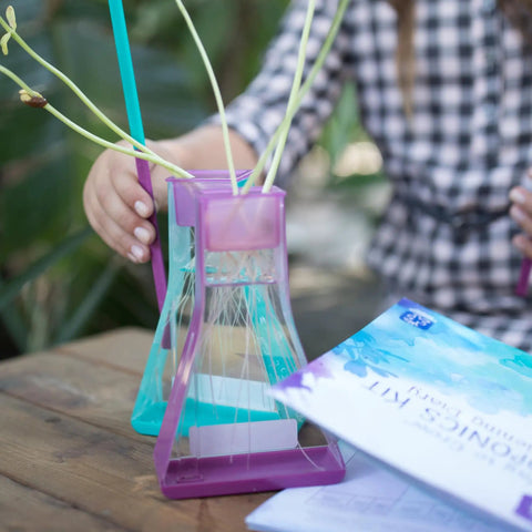 Transform Kids Into Junior Botanists With This Hella Awesome Stem Grow Kit Featuring glass flasks and plant roots.