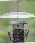 Clear Bird Feeder Rain Cover Dome For Outdoor Feeders And Hummingbird Feeders, Weatherproof Shield With Squirrel Baffle Protection