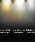Panel displaying lighting types: Warm Light, Natural Light, White Light for WKNHHL Recessed Lighting Housing Trim Kits.