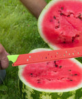 Person using Watermelon Cutter With Sleeve Long Serrated Knife to slice a watermelon outdoors on grass, showing serrated blade and handle