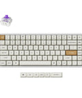 Next Level Wireless Gaming Mechanical Keyboard With Compact 96 Layout And Rapid Magnetic Switches Hot Swap Programmable Rgb Backlight Bluetooth Wired Setup Fire Performance For Mac Windows top view with keycaps and switch.