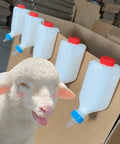 Heavy Duty Lamb Feeding Bottle With Super Soft Nipple For Chill Weaning And Straight Up Nutrition Tracking Clutch Livestock Care Kit on display with sheep.