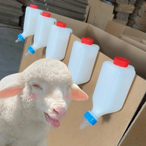 Heavy Duty Lamb Feeding Bottle With Super Soft Nipple For Chill Weaning And Straight Up Nutrition Tracking Clutch Livestock Care Kit on display with sheep.