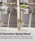 Pfister Vaneri Kitchen Faucet with Pull Down Sprayer, Polished Chrome showcasing 2-function spray head options: Stream and Spray.