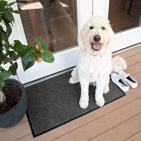 Heavy Duty Industrial Door Mat 3 By 10 Feet For Busy Entrances Large Commercial Grade Entrance Rug For Businesses Lobbies Garage And Mudrooms Charcoal Black Made In USA Brush Step 109S0310CH with dog