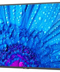 Next Level 98 4K Ultra HD Digital Signage Display With Direct Led Backlighting For Commercial Retail Booths And Lobbies showing vibrant blue flower detail.