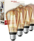 Vintage Filament LED Smart Edison Bulbs 60 Watt Equivalent, Warm 2000K Edison Style ST19, 4 Pack with Box Displayed