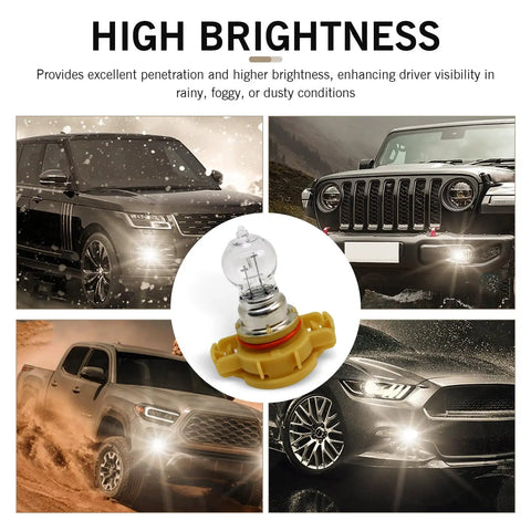 Fog Light Bulbs 12V 24W 3500K Warm White Ultra Bright Quartz Glass Shock Proof shown with cars in foggy conditions
