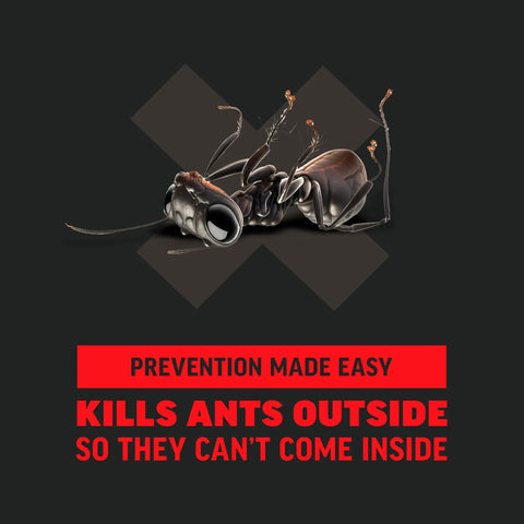 Image of ant with text: 'Prevention Made Easy, Kills Ants Outside So They Can't Come Inside.' Ant Killer For Outdoor Home Perimeter 24 Oz Black Label Kills 25 Ant Species Including Carpenter Argentine Odorous House Pavement Pharaoh Ants Use Any Time Ants Are Active Best When Cool Early Morning Or Evening.