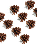 10 Pack Real Pine Cone Bird Chew Toys With Sturdy Mounting Nuts For Parakeets Cockatiels And Budgies to crunch beaks.