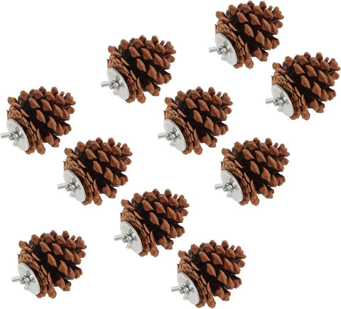 10 Pack Real Pine Cone Bird Chew Toys With Sturdy Mounting Nuts For Parakeets Cockatiels And Budgies to crunch beaks.