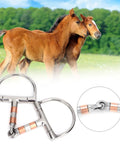 Stainless Steel Dee Bit Snaffle Horse Bit With Copper Rollers French Link Eggbutt 5 Inch Mouth for comfortable fit