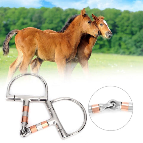 Stainless Steel Dee Bit Snaffle Horse Bit With Copper Rollers French Link Eggbutt 5 Inch Mouth for comfortable fit