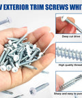 Tough As Nails White Pan Head Machine Screws For Rv Maintenance And Custom Builds With Self Drilling Alloy Steel Fasteners In Hand