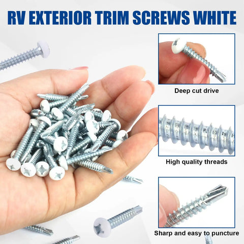 Tough As Nails White Pan Head Machine Screws For Rv Maintenance And Custom Builds With Self Drilling Alloy Steel Fasteners In Hand