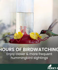 Window Mount Hummingbird Feeder With Perches, 8 Oz Nectar Capacity, Three Feeding Ports, No Fuss Suction Cup Mount For Outdoors