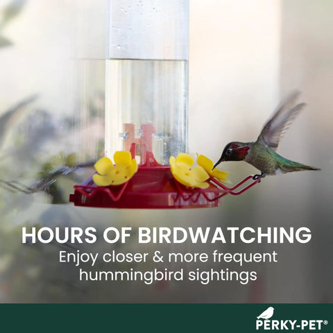 Window Mount Hummingbird Feeder With Perches, 8 Oz Nectar Capacity, Three Feeding Ports, No Fuss Suction Cup Mount For Outdoors
